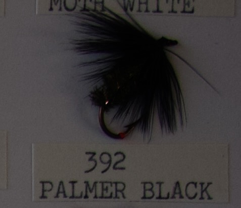Palmer Black