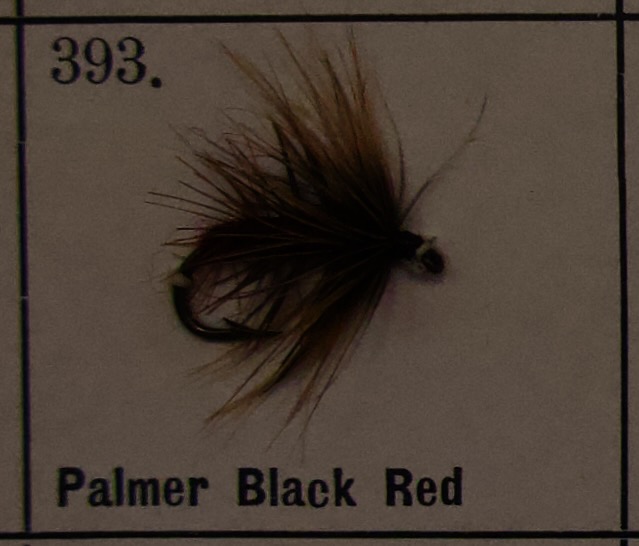 Palmer Black Red