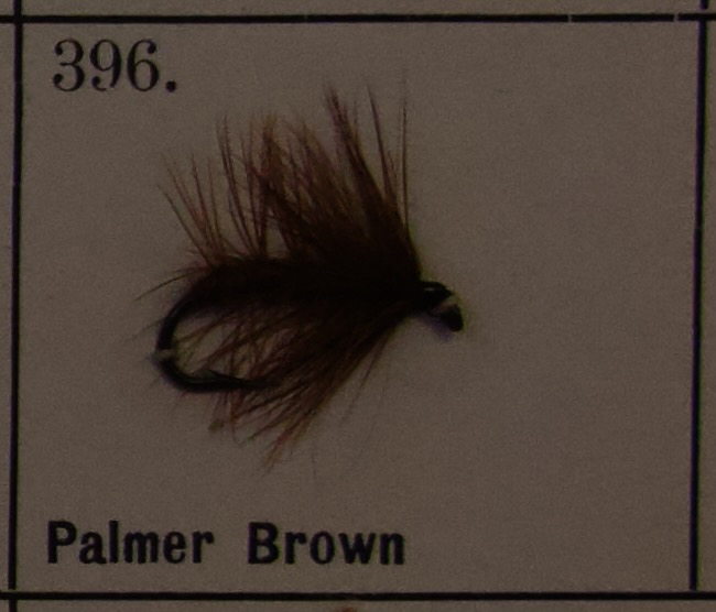 Palmer Brown
