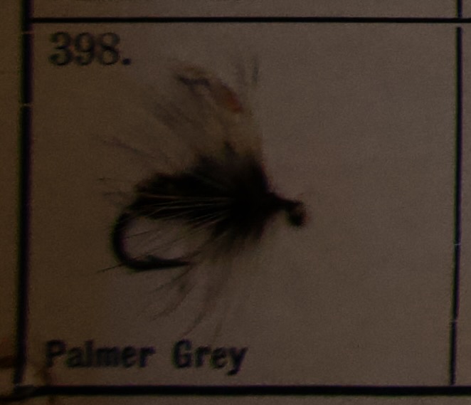 Palmer Grey
