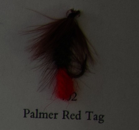 Palmer Red Tag