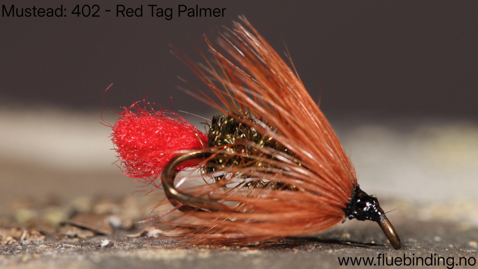 Palmer Red Tag