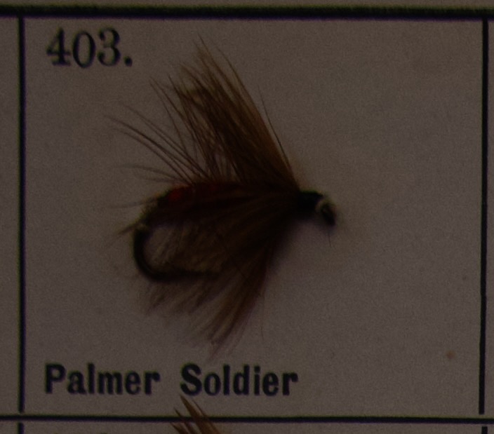 Palmer Soldier