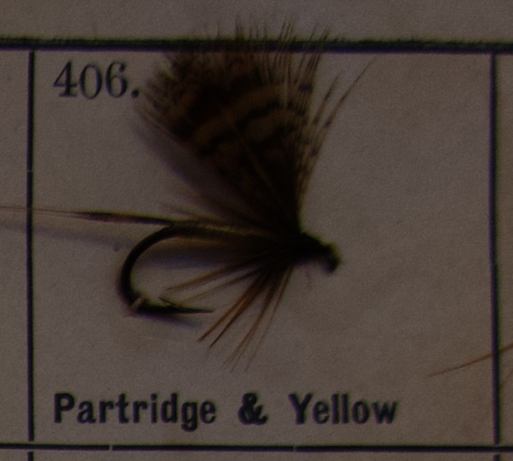 Partridge Yellow
