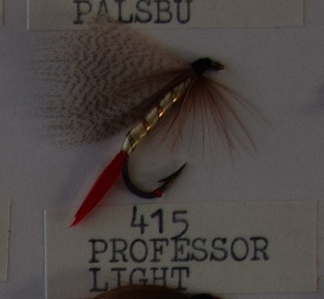 Professor Light