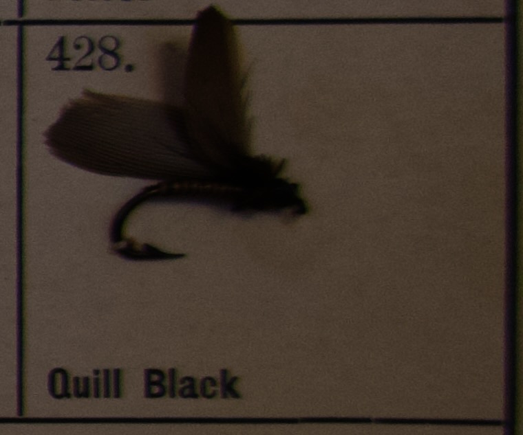 Quill Black