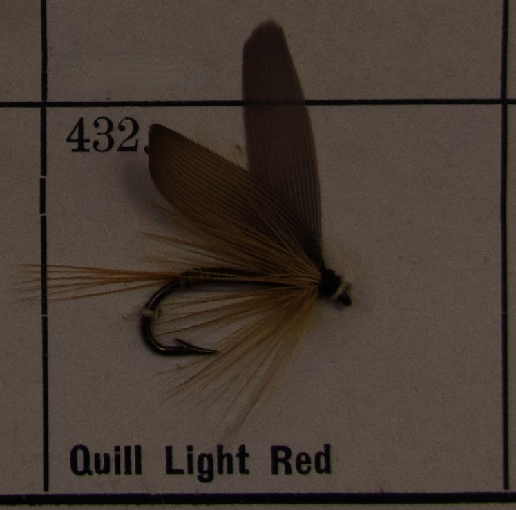 Quill Light Red