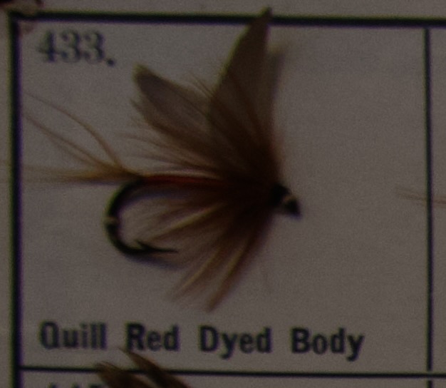 Quill Red Dyed Body