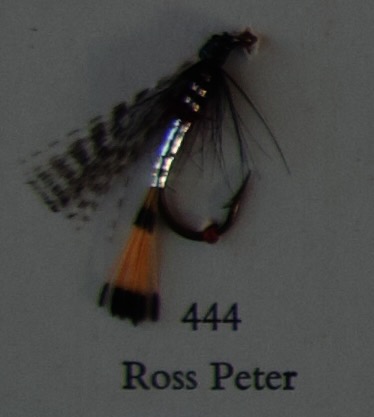 Ross Peter