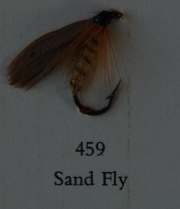 Sand Fly