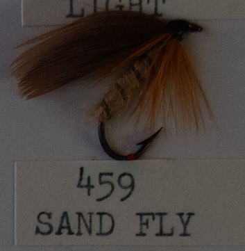 Sand Fly