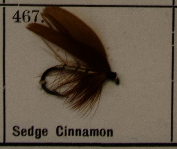 Sedge Cinnamon