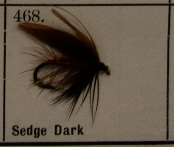 Sedge Dark