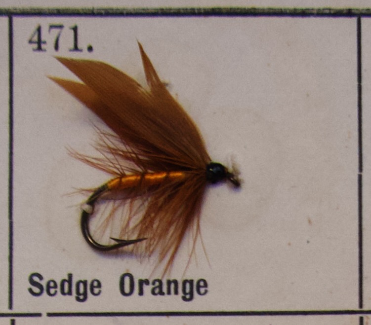 Sedge Orange