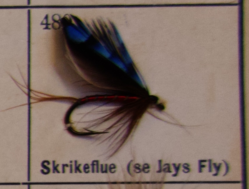 480 - 499: Våtfluer