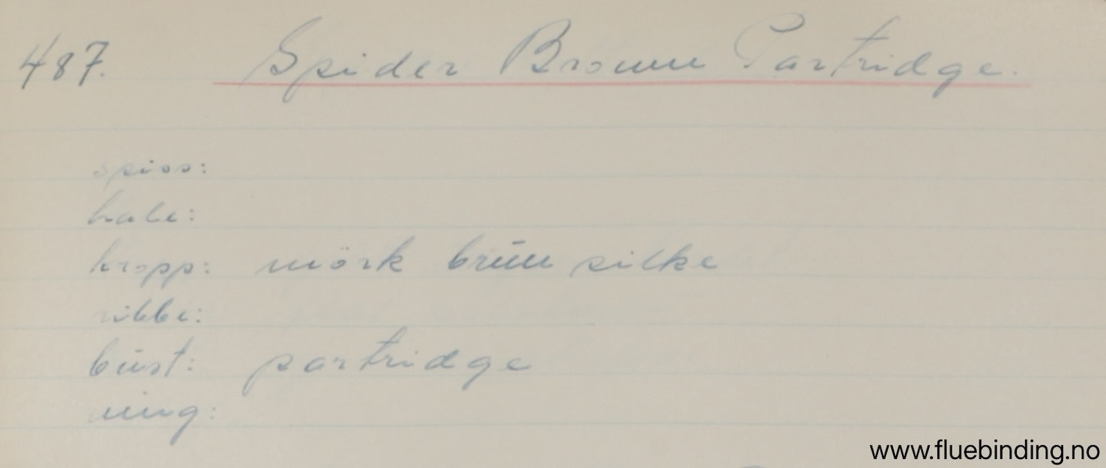 Spider Brown Partridge