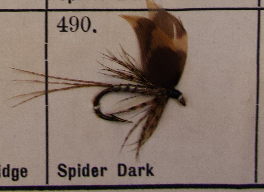 Spider Dark