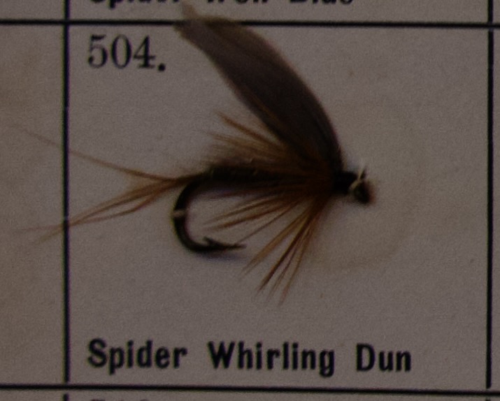 Spider Whirling Dun