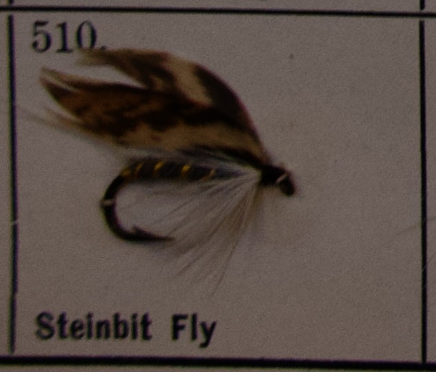 Steinbit Fly
