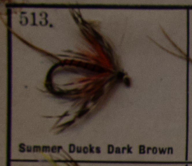 Summer Ducks Dark Brown