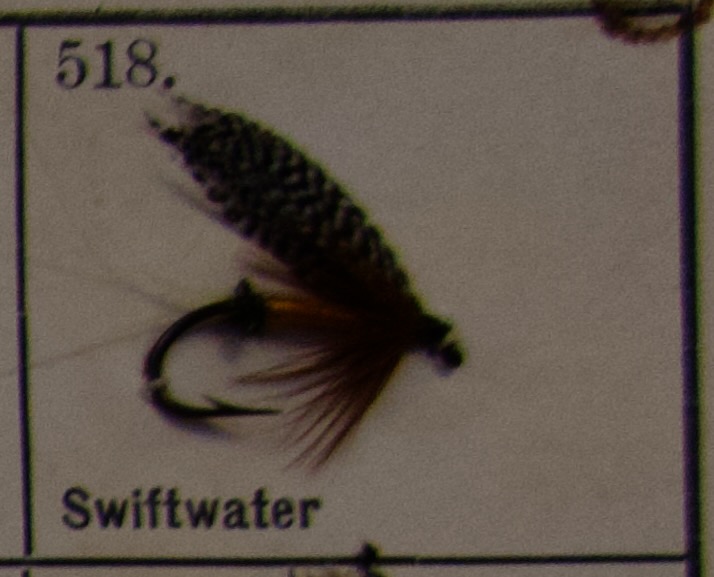 Swiftwater