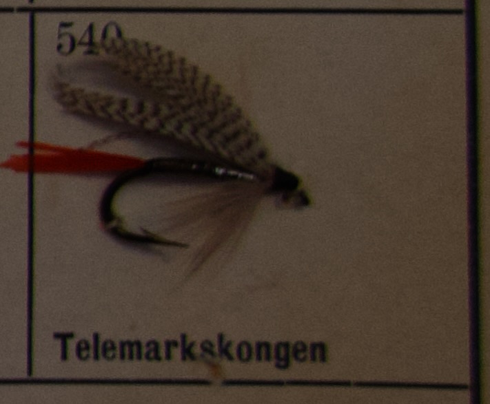 Telemarkskongen