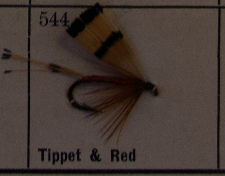 Tippet Red