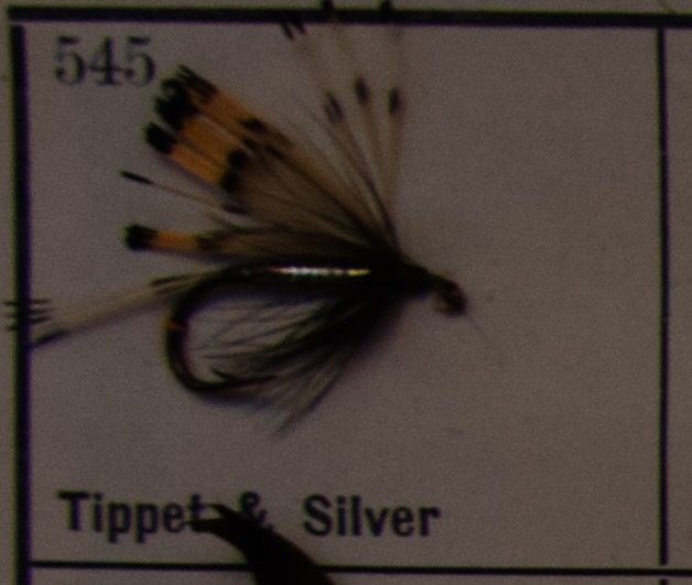 Tippet Silver