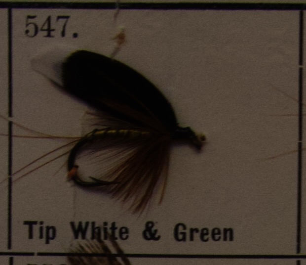Tip White Green