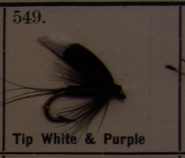 Tip White Purple