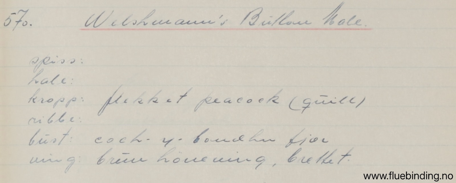 Welshmanns Button Male