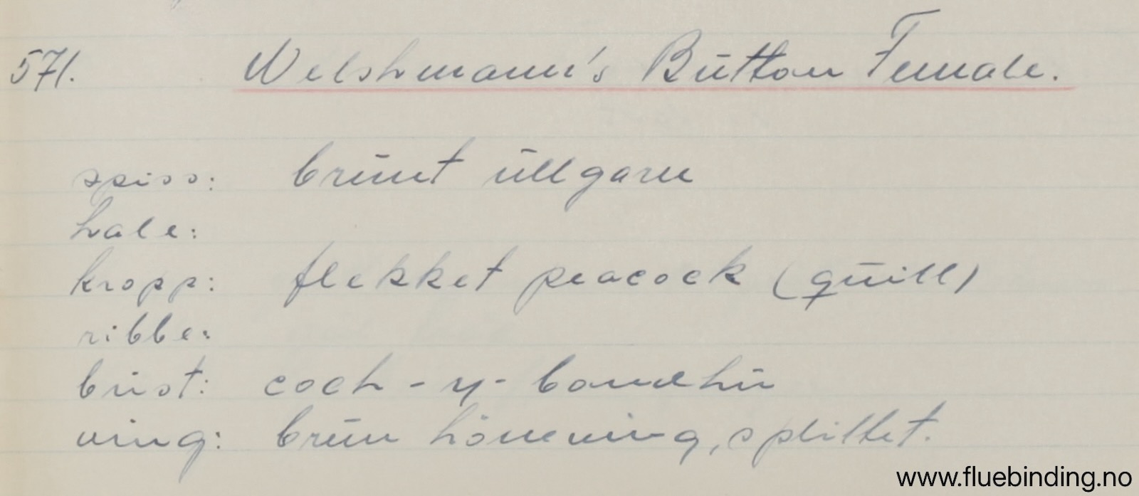 Welshmanns Button Female