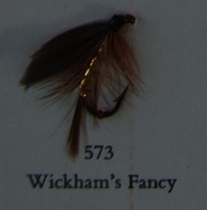 560 - 579: Våtfluer