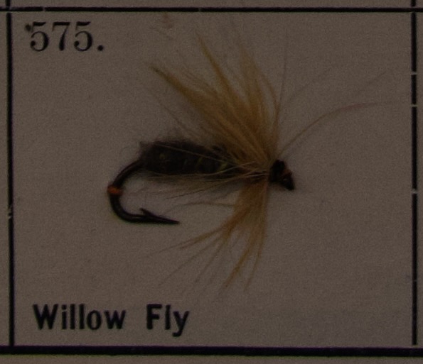 Willow Fly