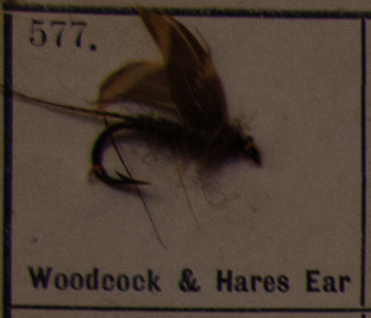 Woodcock Hares Ear