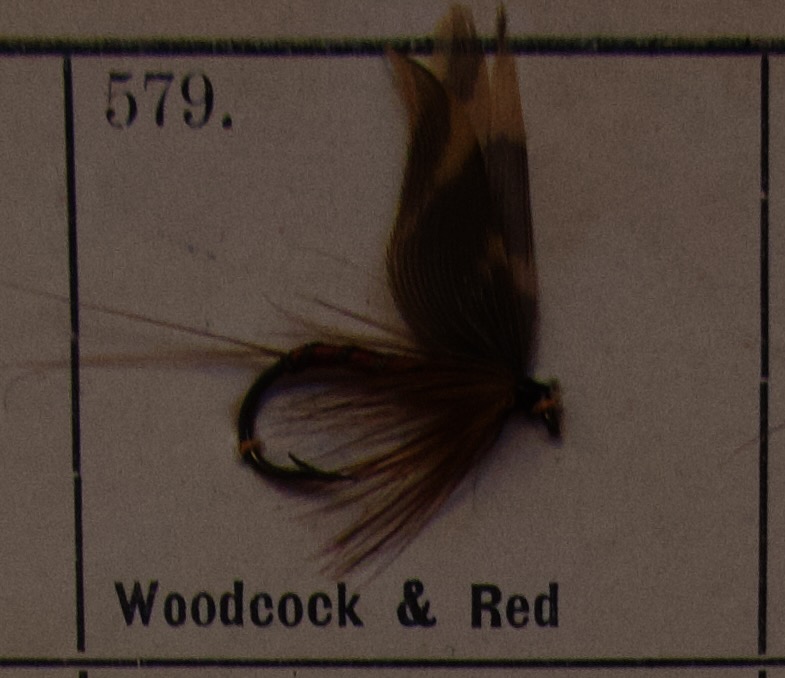 Woodcock Red