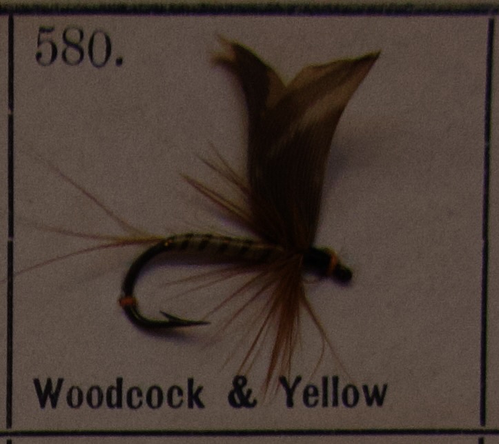Woodcock Yellow