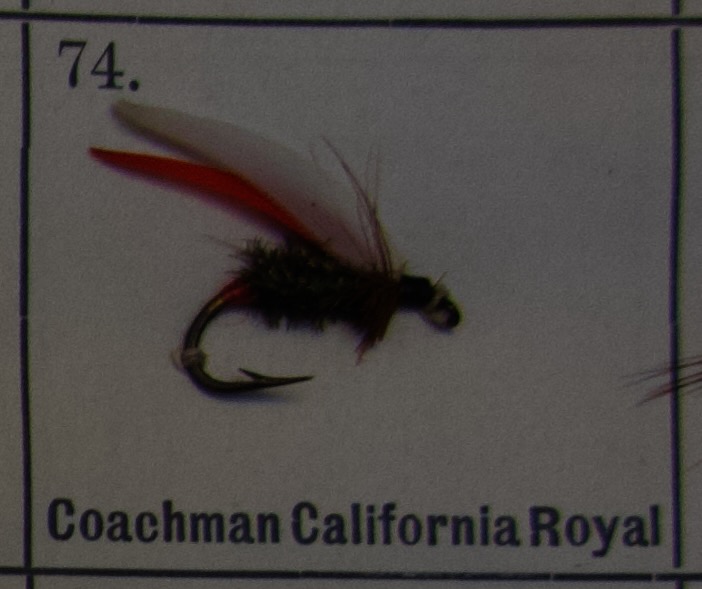 Coachman California Royal
