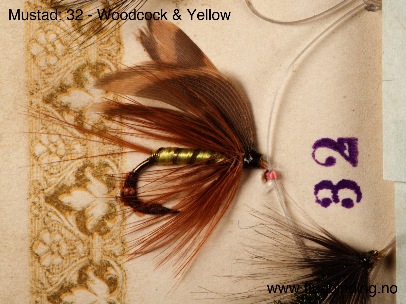 Woodcock & Yellow