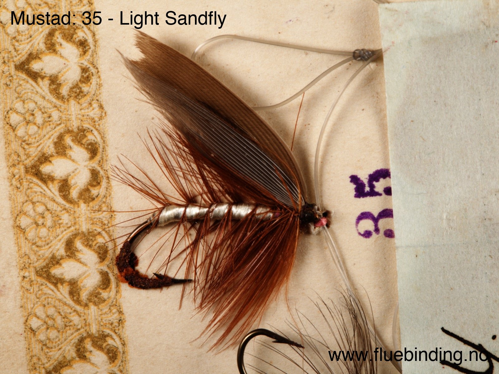 Light Sandfly