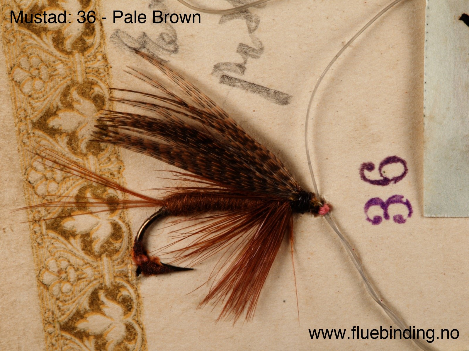Pale Brown