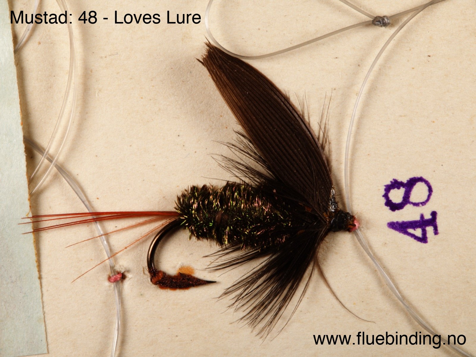 Loves Lure