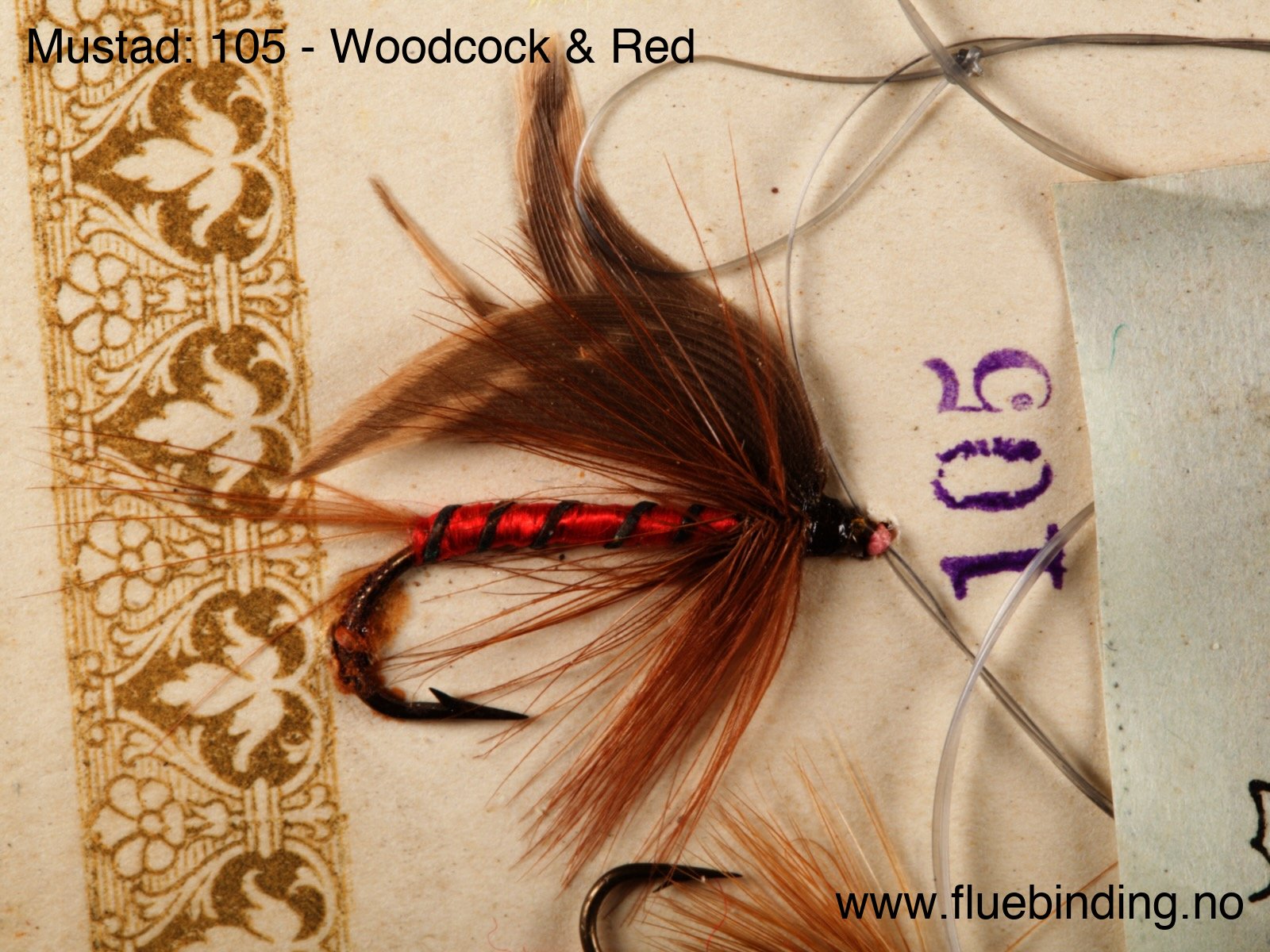 Woodcock & Red