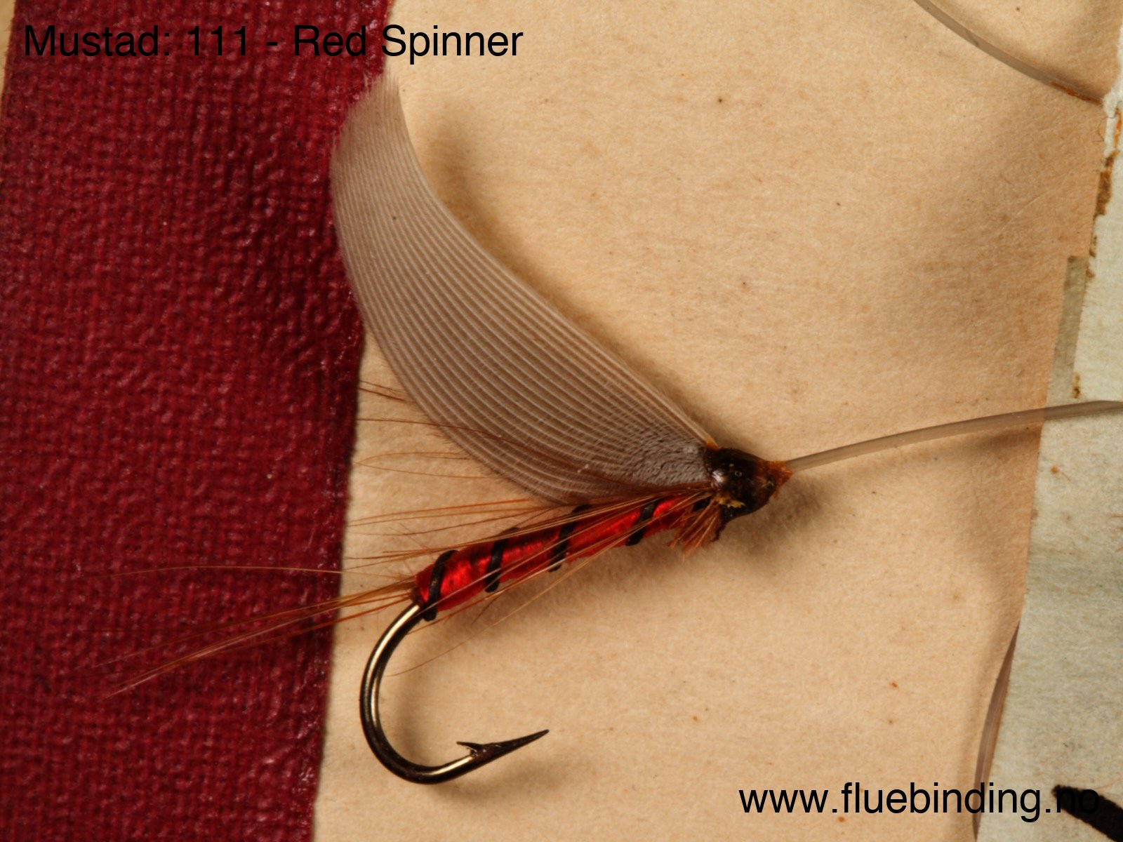 Red Spinner
