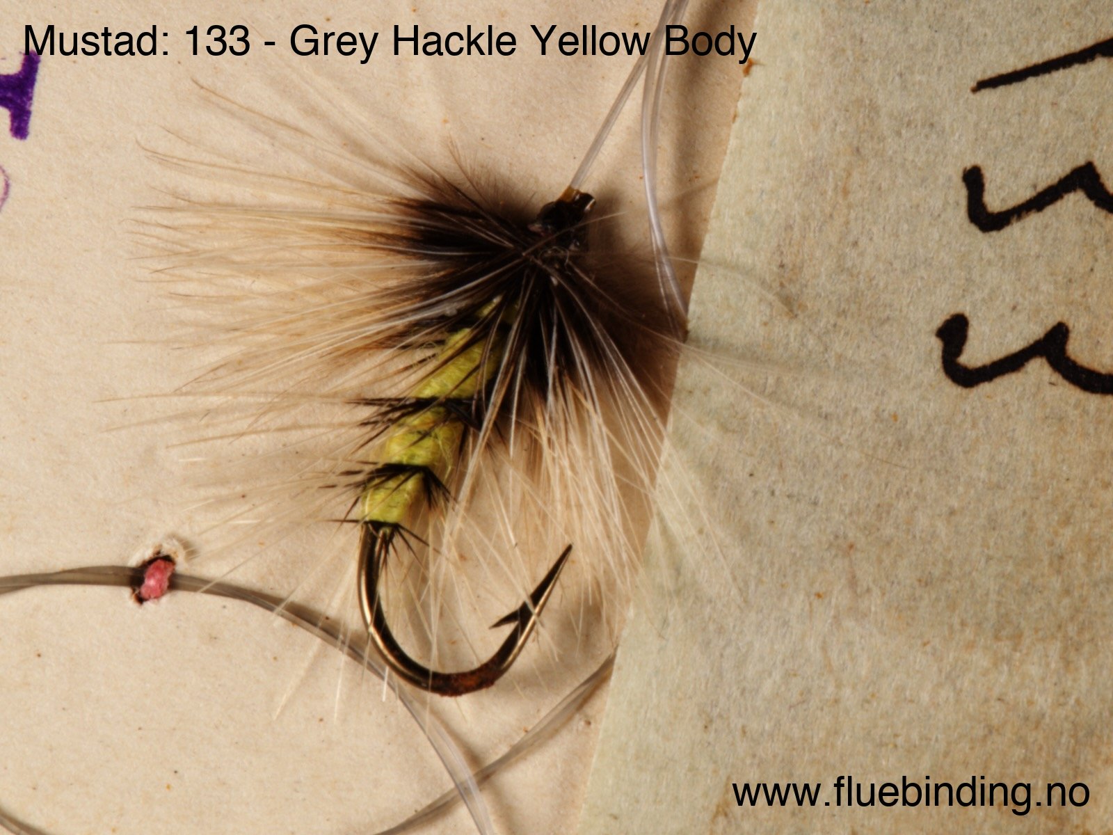 Grey Hackle Yellow Body