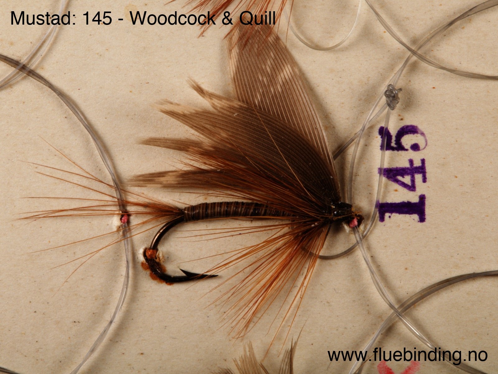 Woodcock & Quill