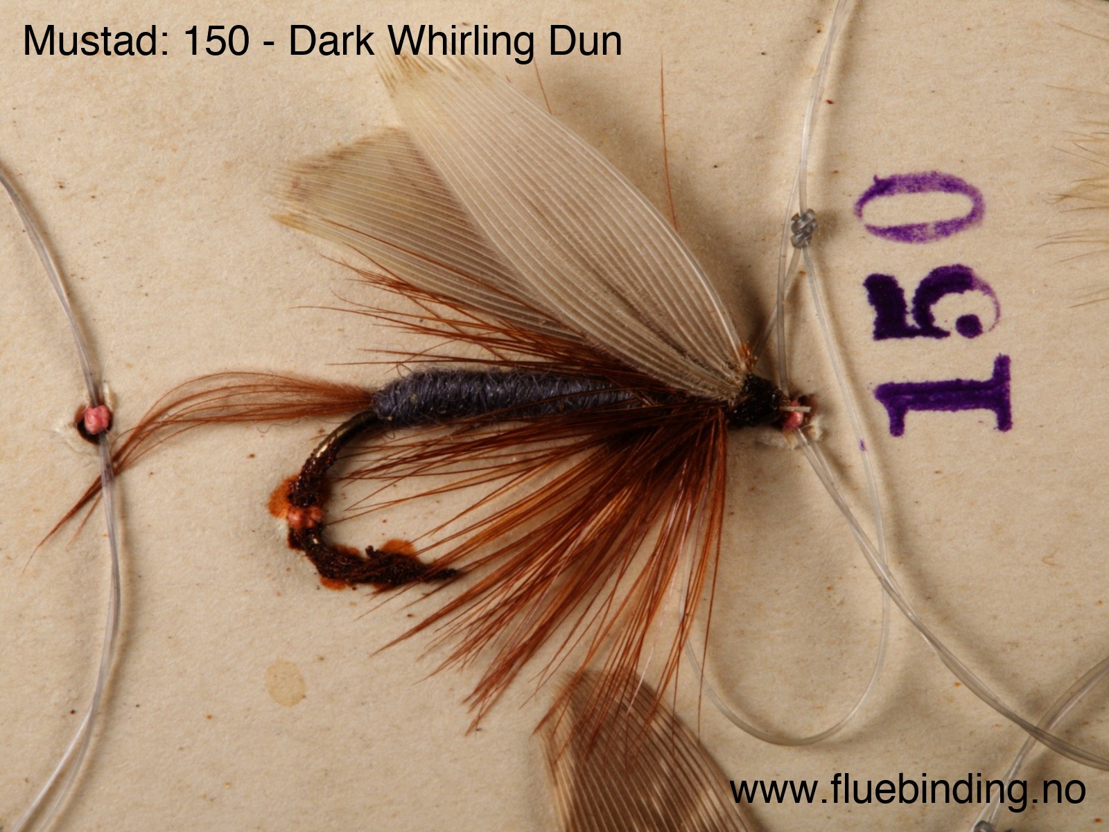 Dark Whirling Dun