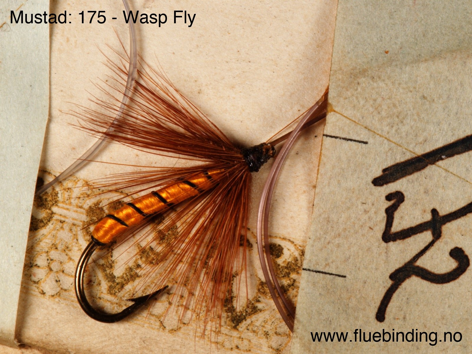 Wasp Fly
