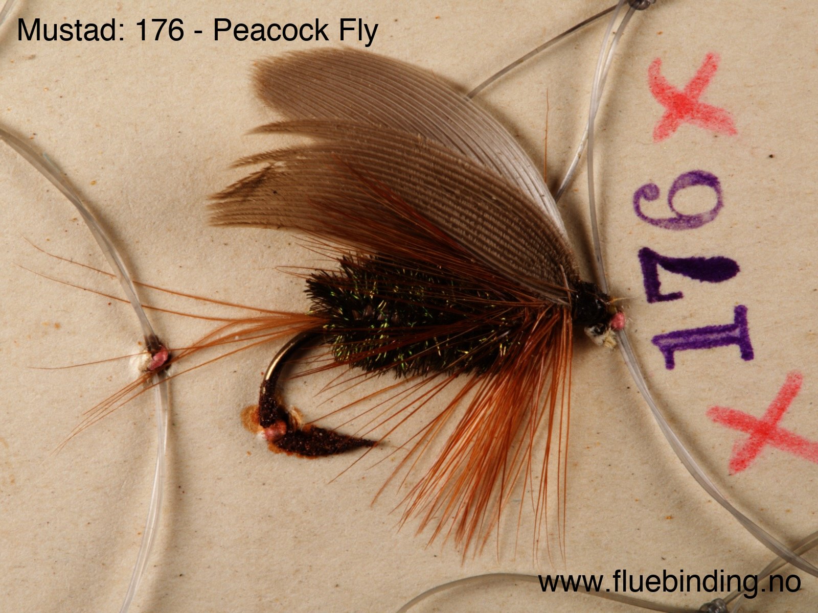 Peacock Fly