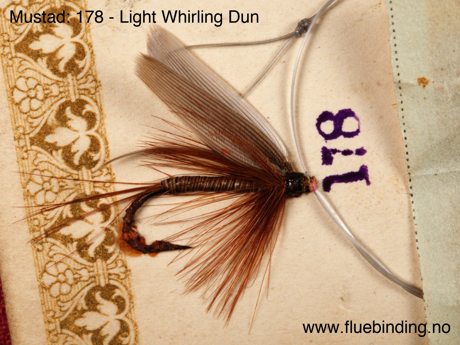 Light Whirling Dun